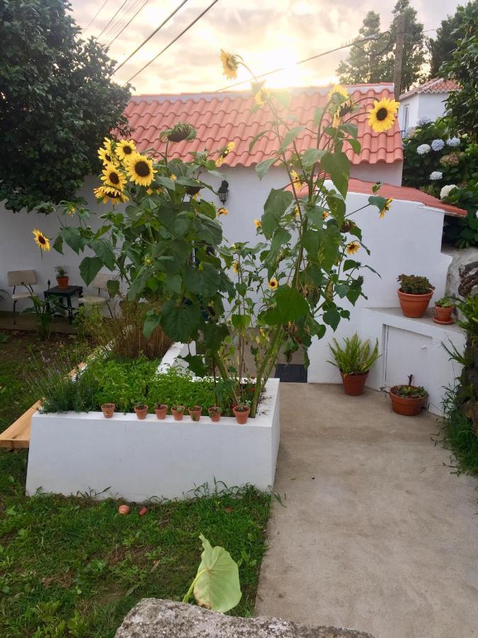 The Azores Homestead Santa Barbara  Kültér fotó