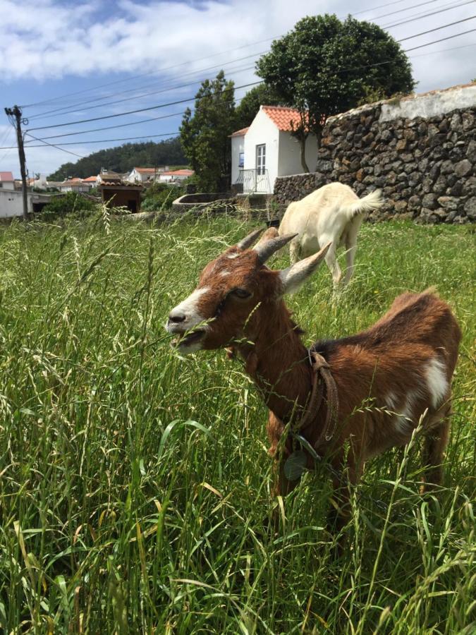 The Azores Homestead Santa Barbara  Kültér fotó